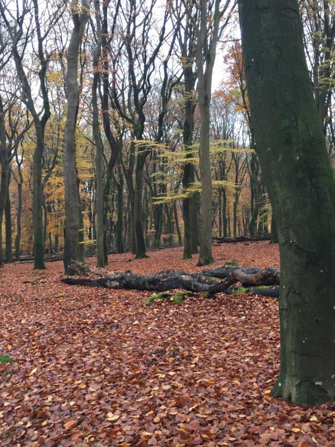 Riemershof Ermelo Luaran gambar
